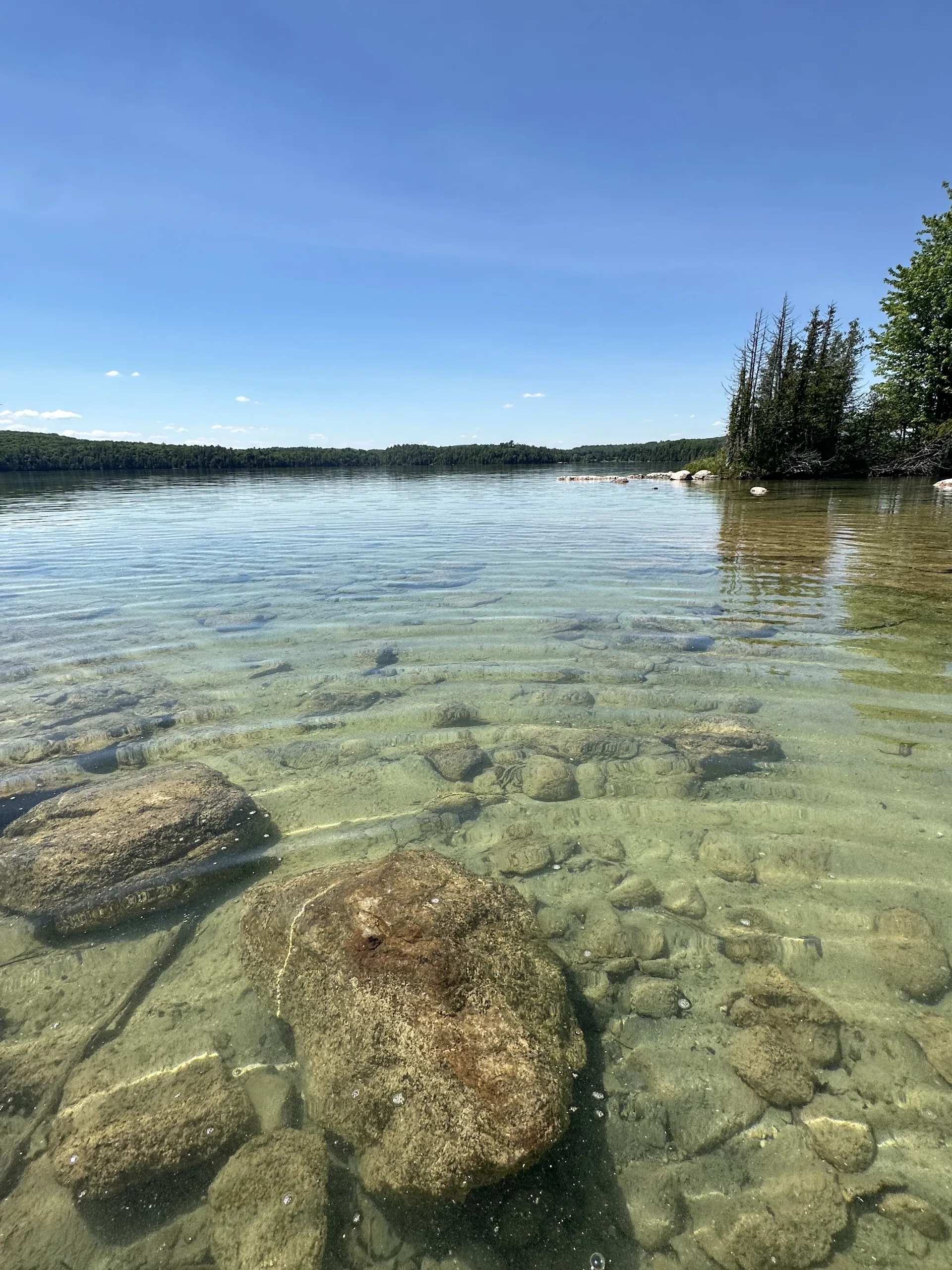 Bord de l'eau — Eau claire