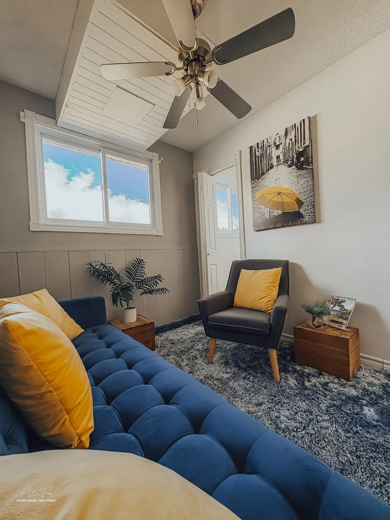 Salon — sofa bleu & coussins jaunes