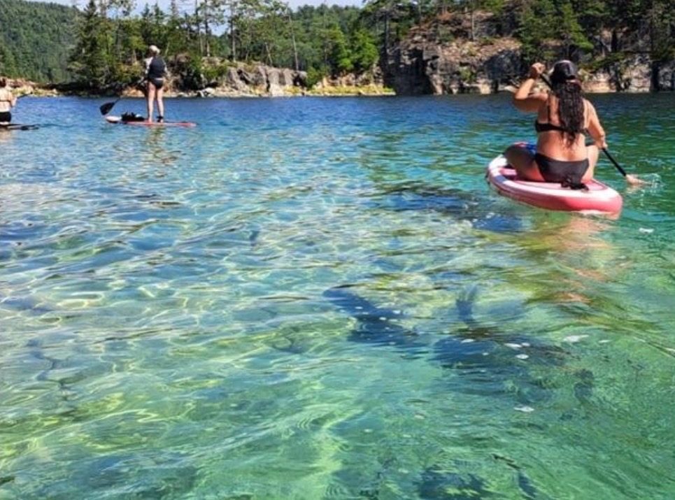 Kayak & paddle